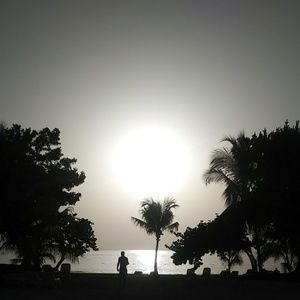 Meet your Posher, Carol